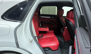 Cayenne (PO536)
