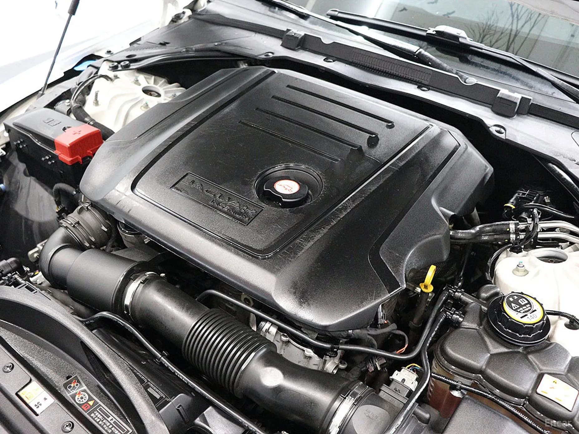 XE