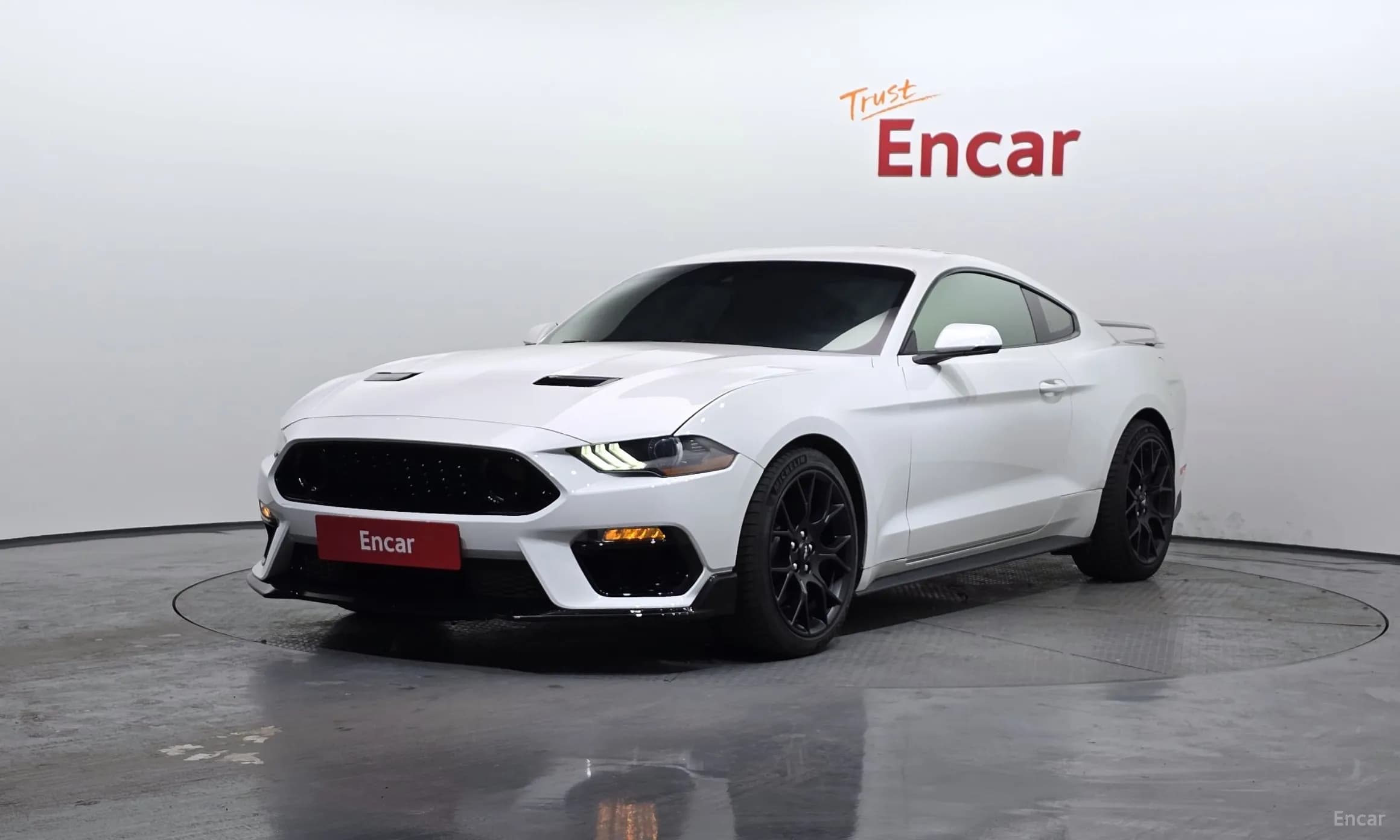 Mustang