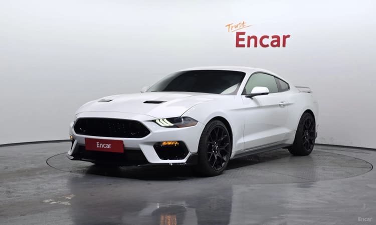 Mustang