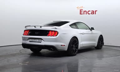 Mustang
