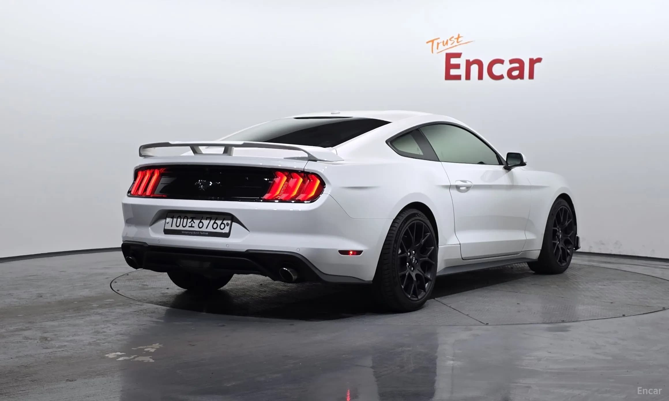 Mustang