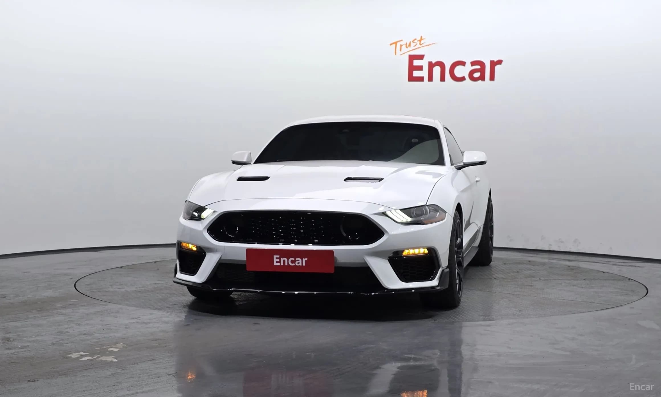 Mustang