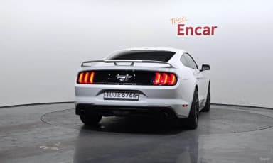 Mustang