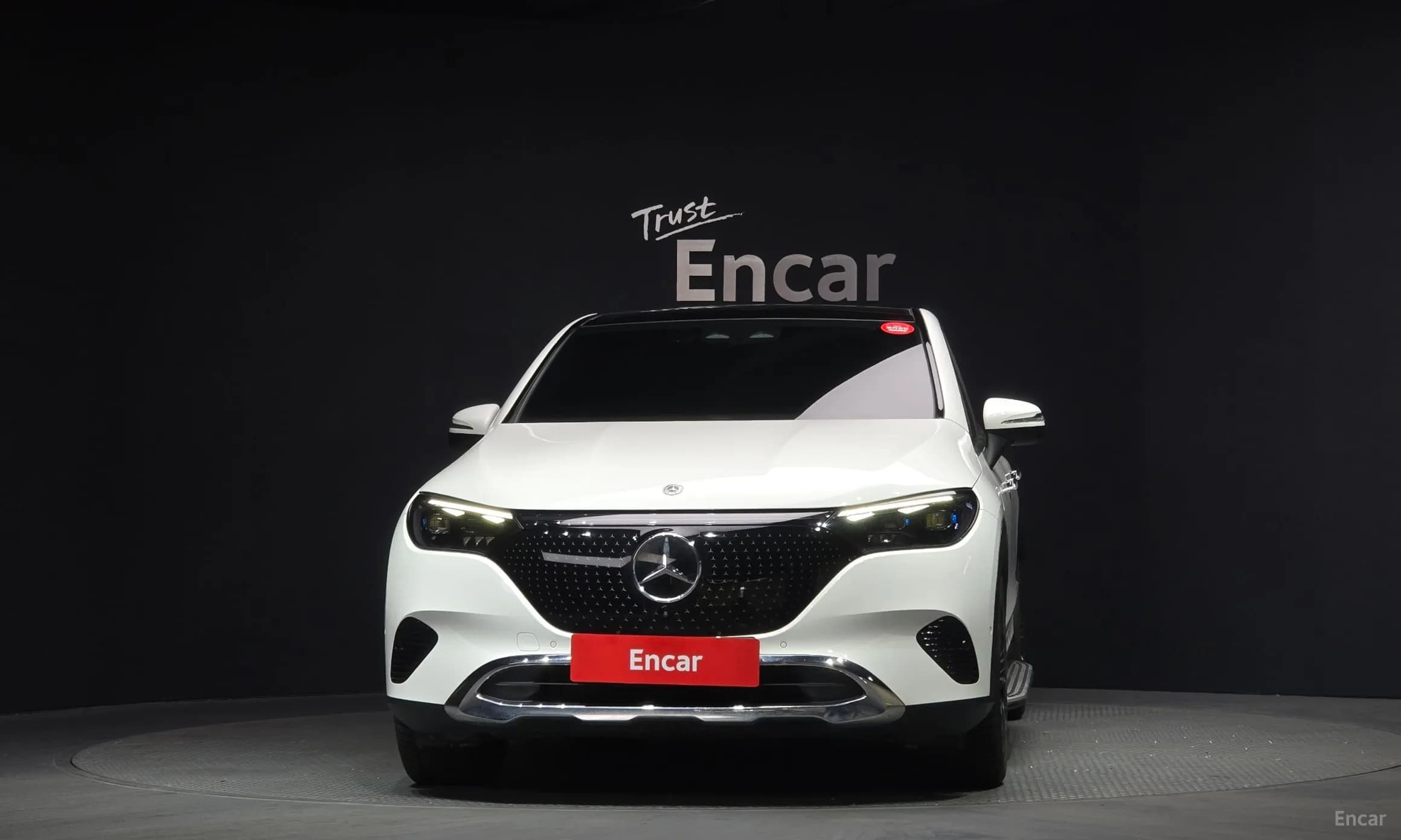 EQE SUV X294