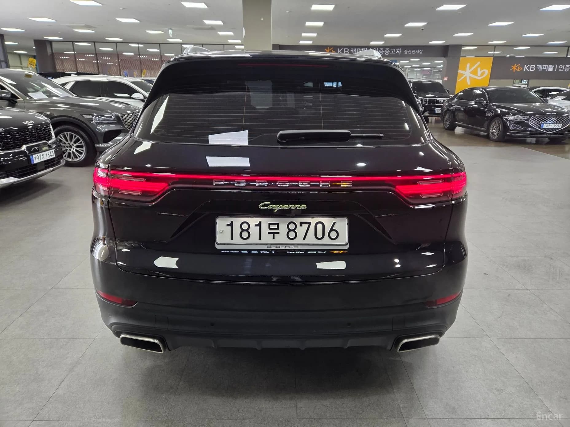 Cayenne (PO536)