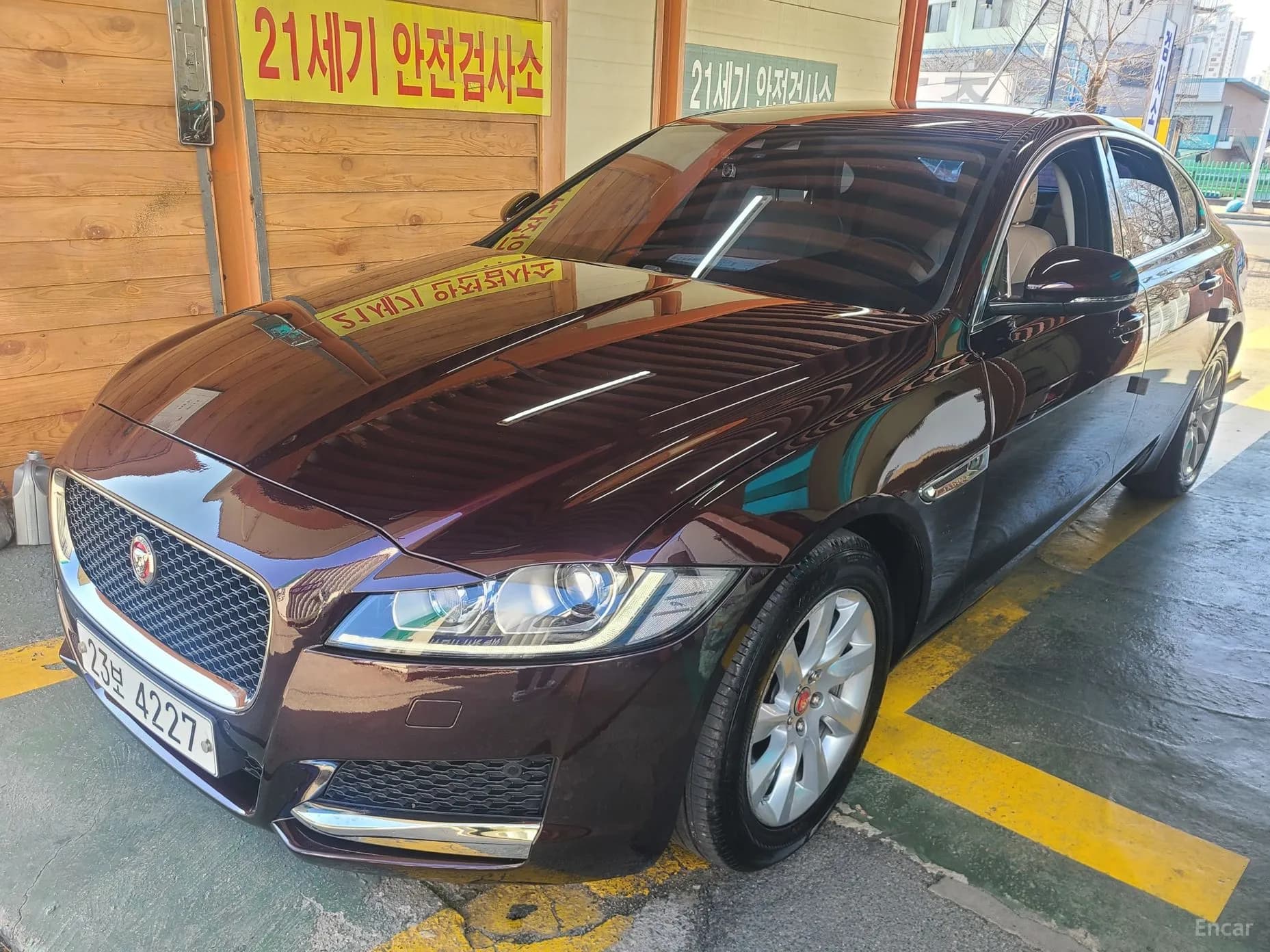 XF (x260)