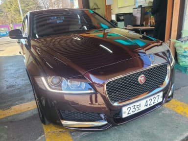 XF (x260)