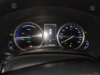NX300h
