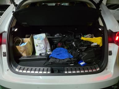 NX300h