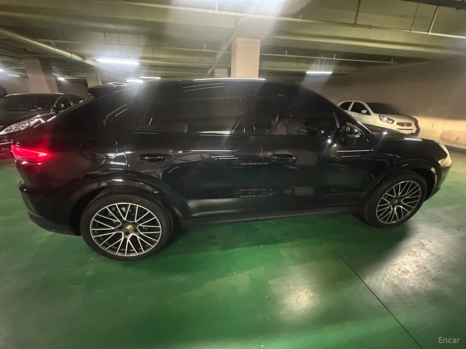 Cayenne (PO536)