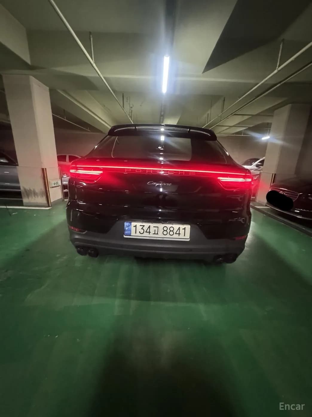 Cayenne (PO536)