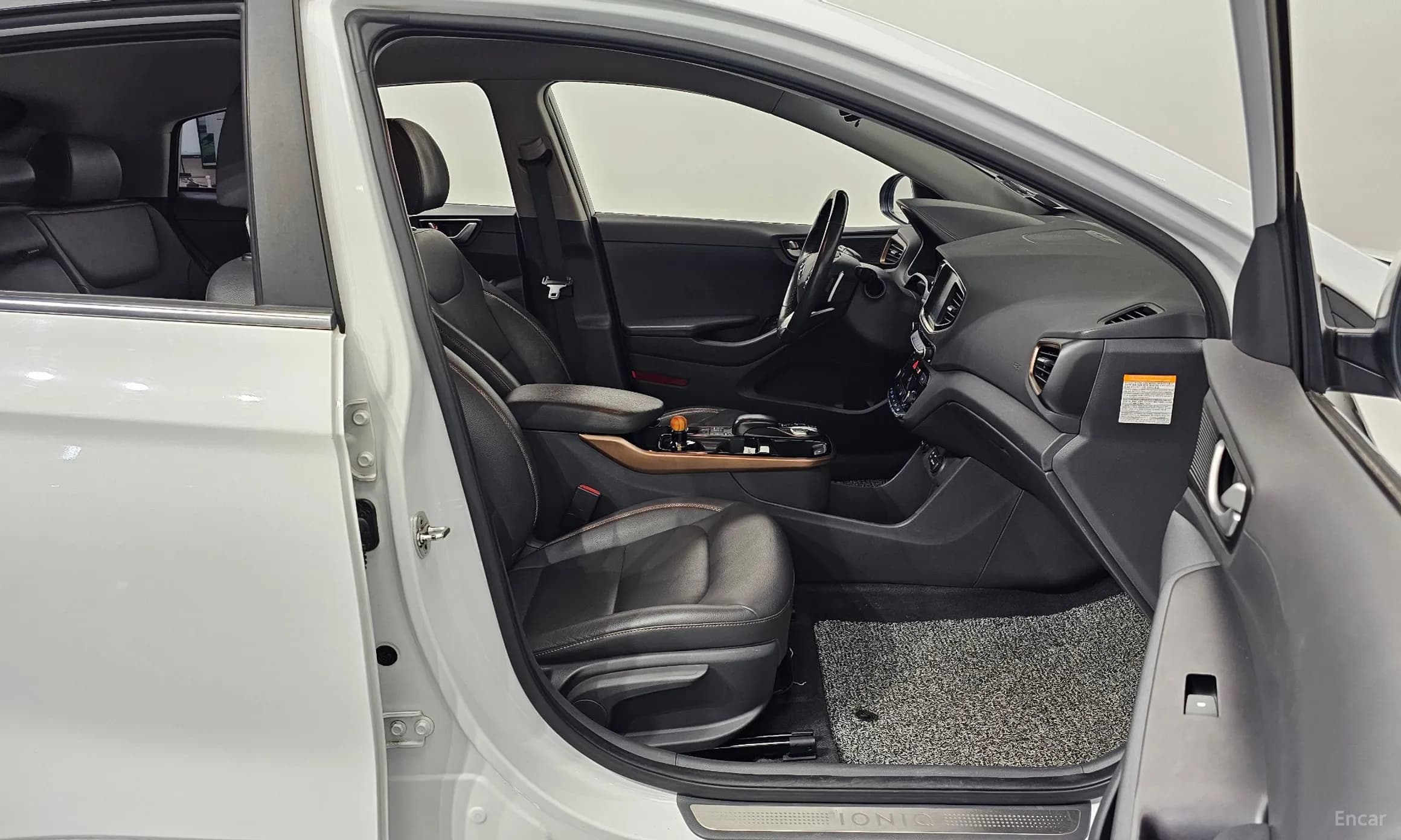 Ioniq Electric