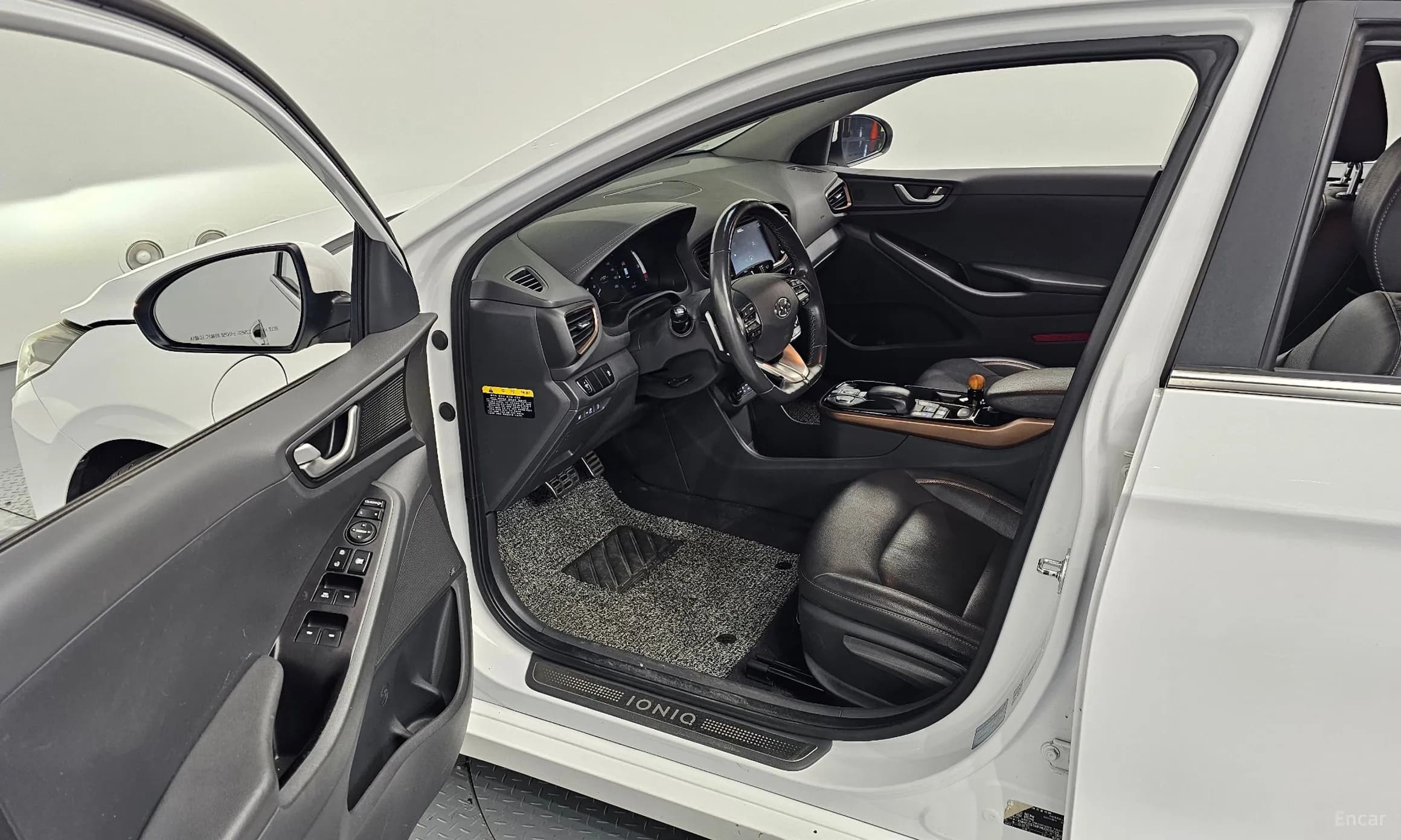 Ioniq Electric