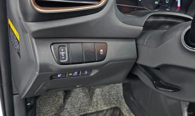 Ioniq Electric