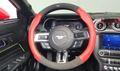 Mustang