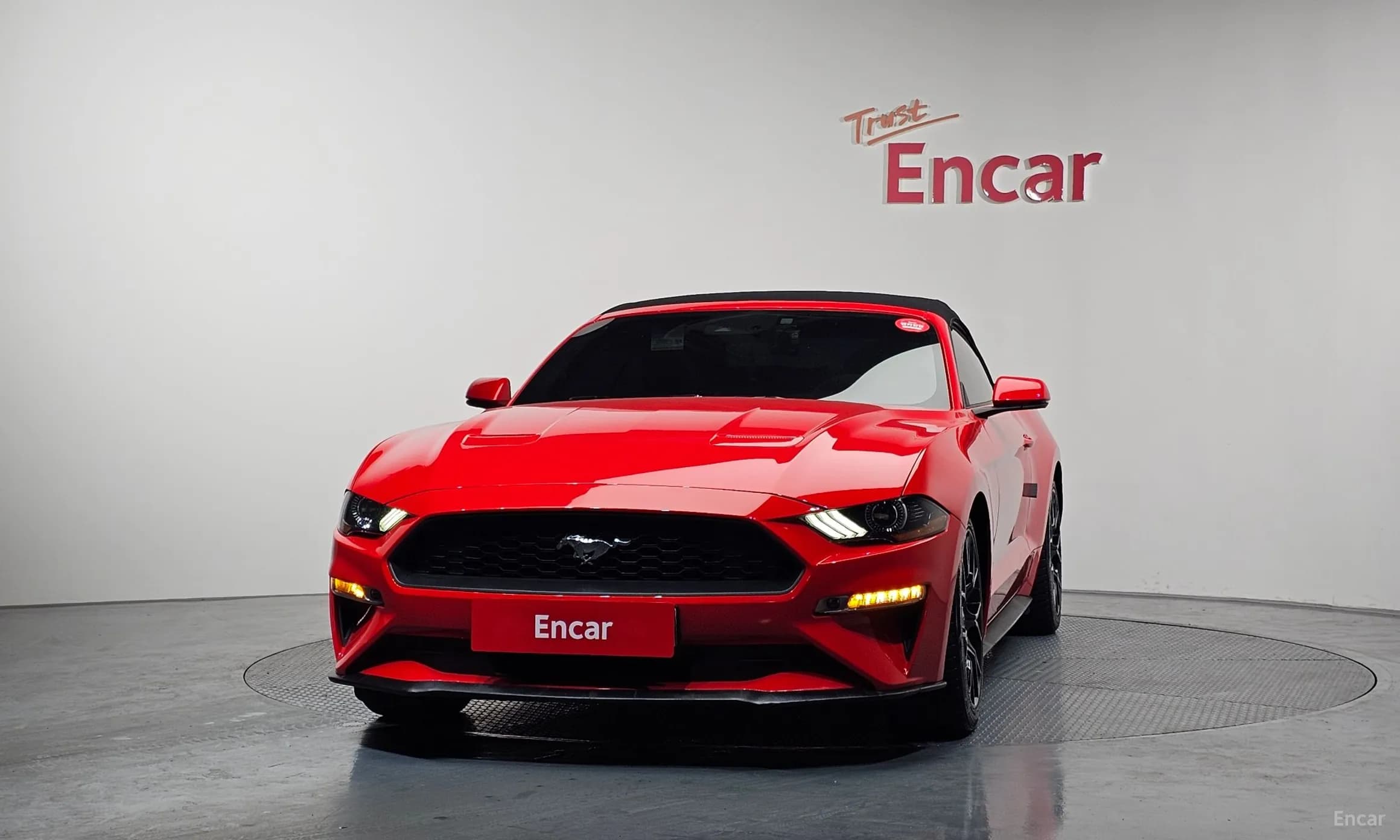 Mustang