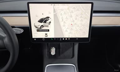 Model Y