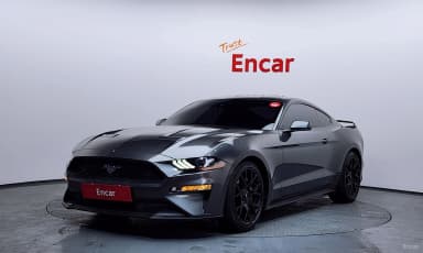 Mustang