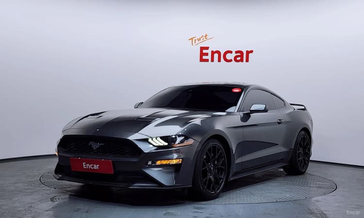 Mustang