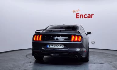 Mustang