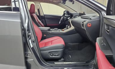 NX300h