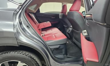 NX300h