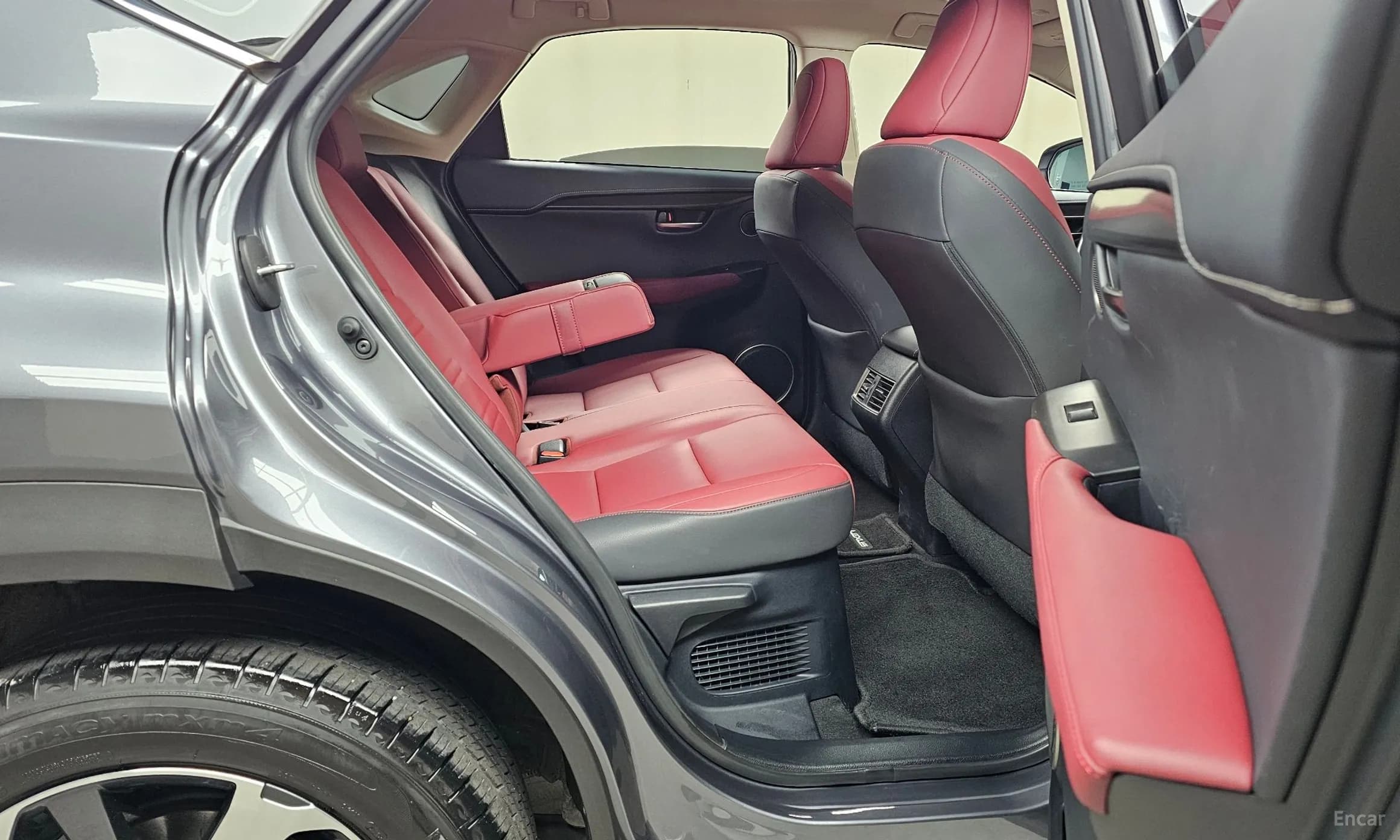 NX300h