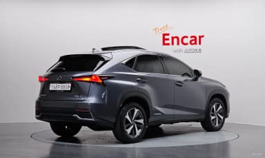 NX300h