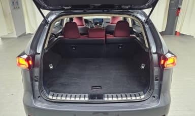 NX300h