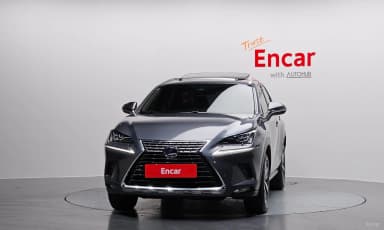 NX300h