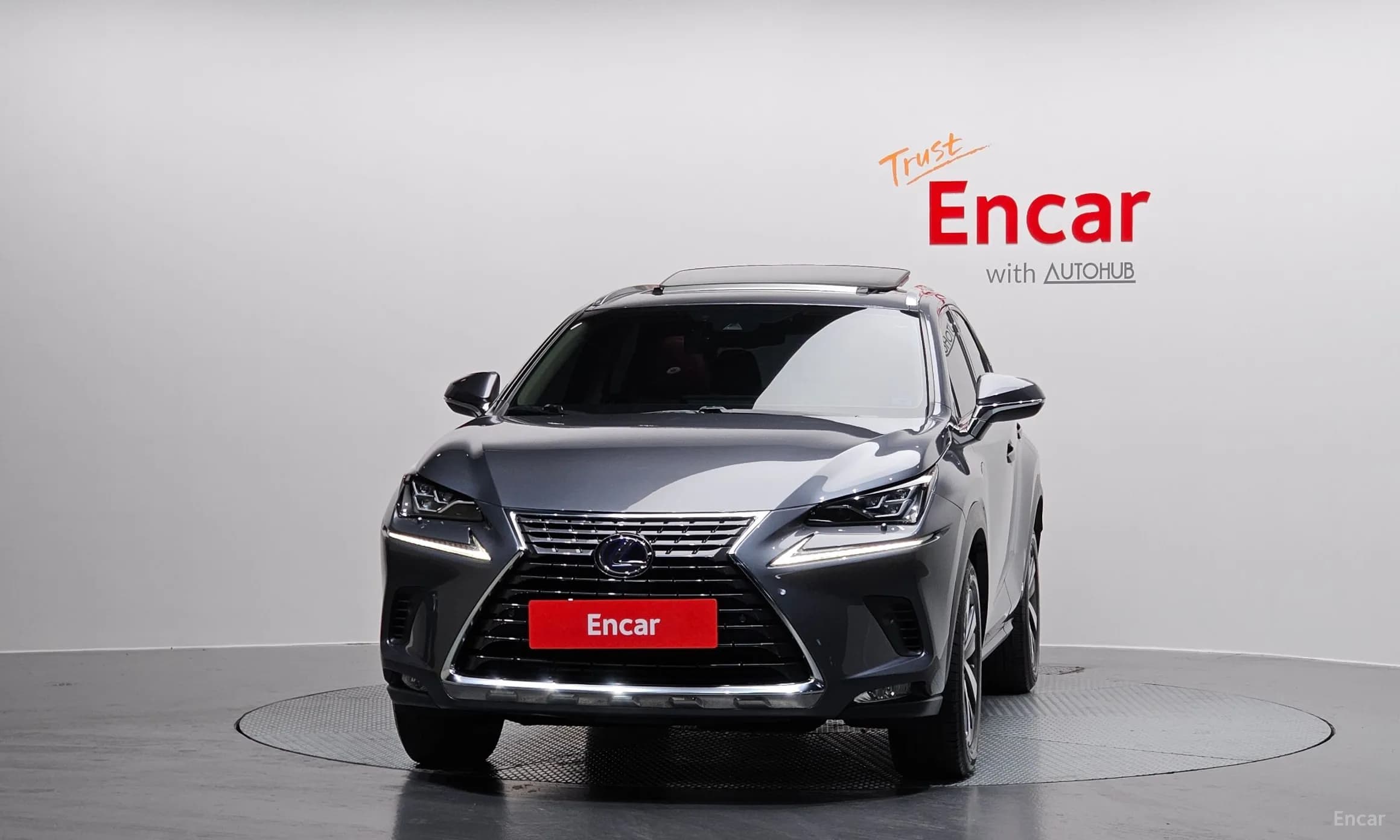 NX300h