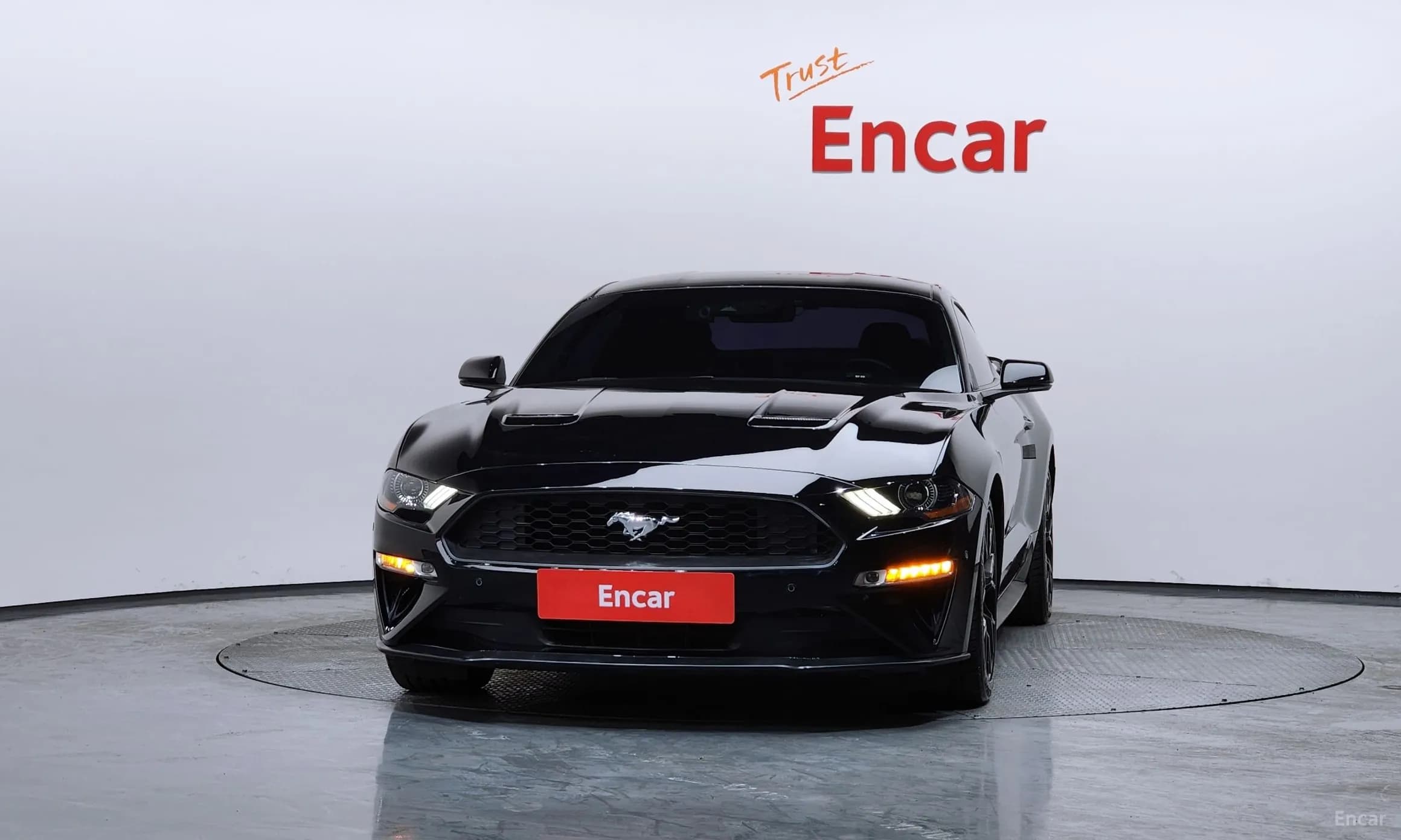 Mustang