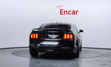 Mustang