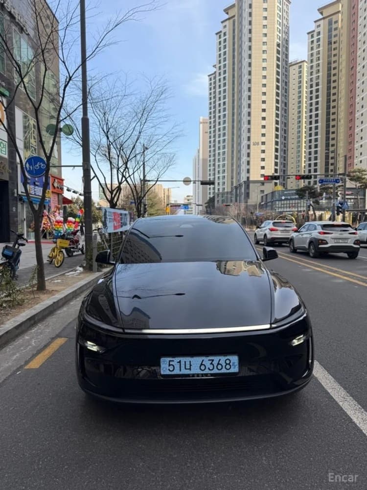 Model Y