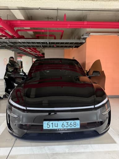 Model Y