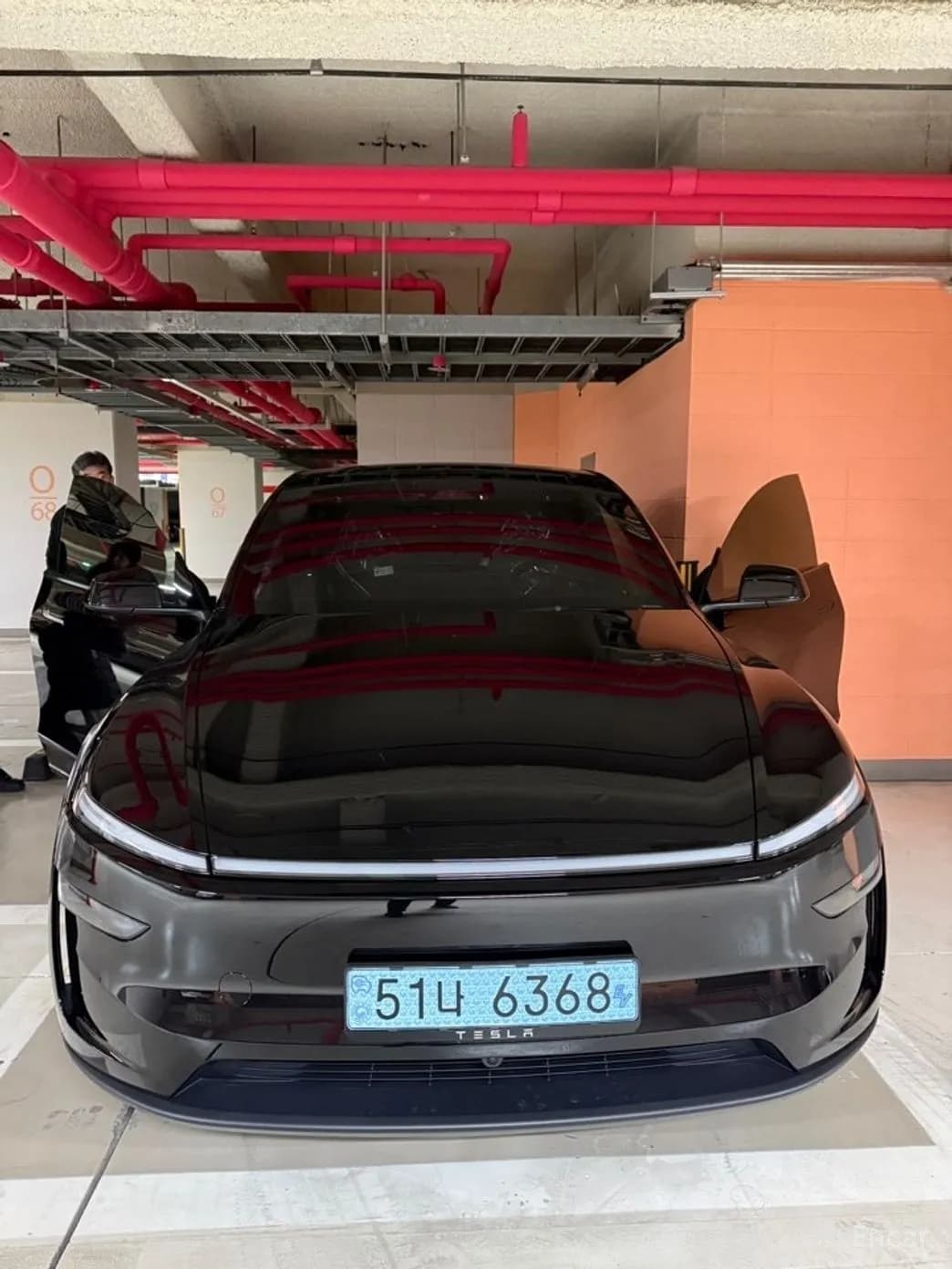 Model Y