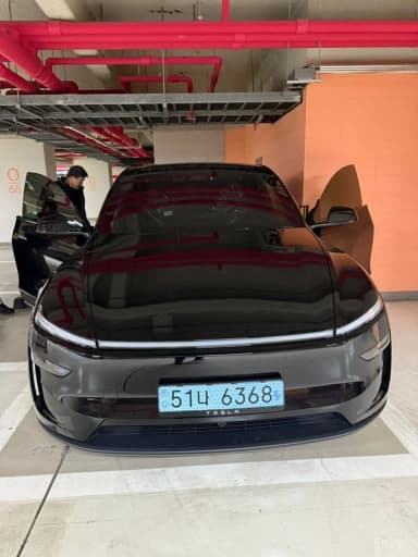 Model Y