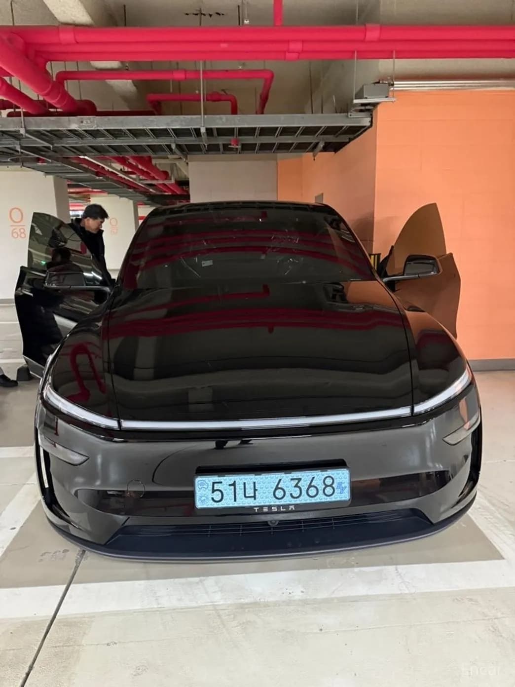 Model Y