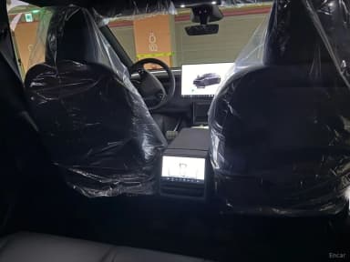 Model Y