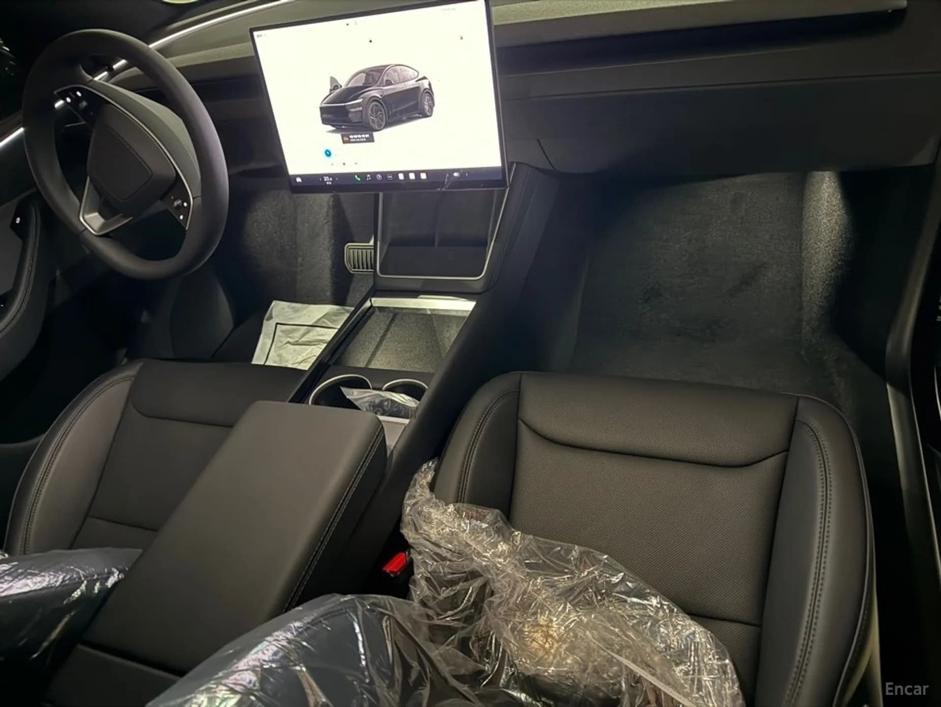 Model Y