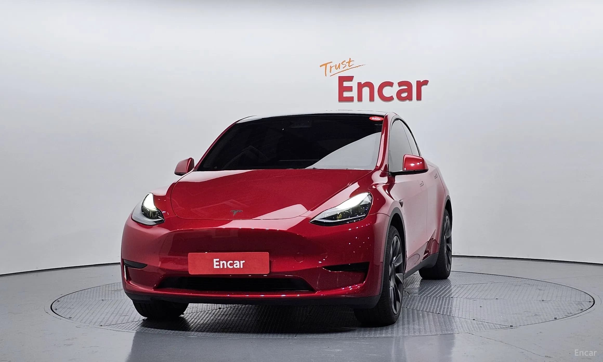 Model Y