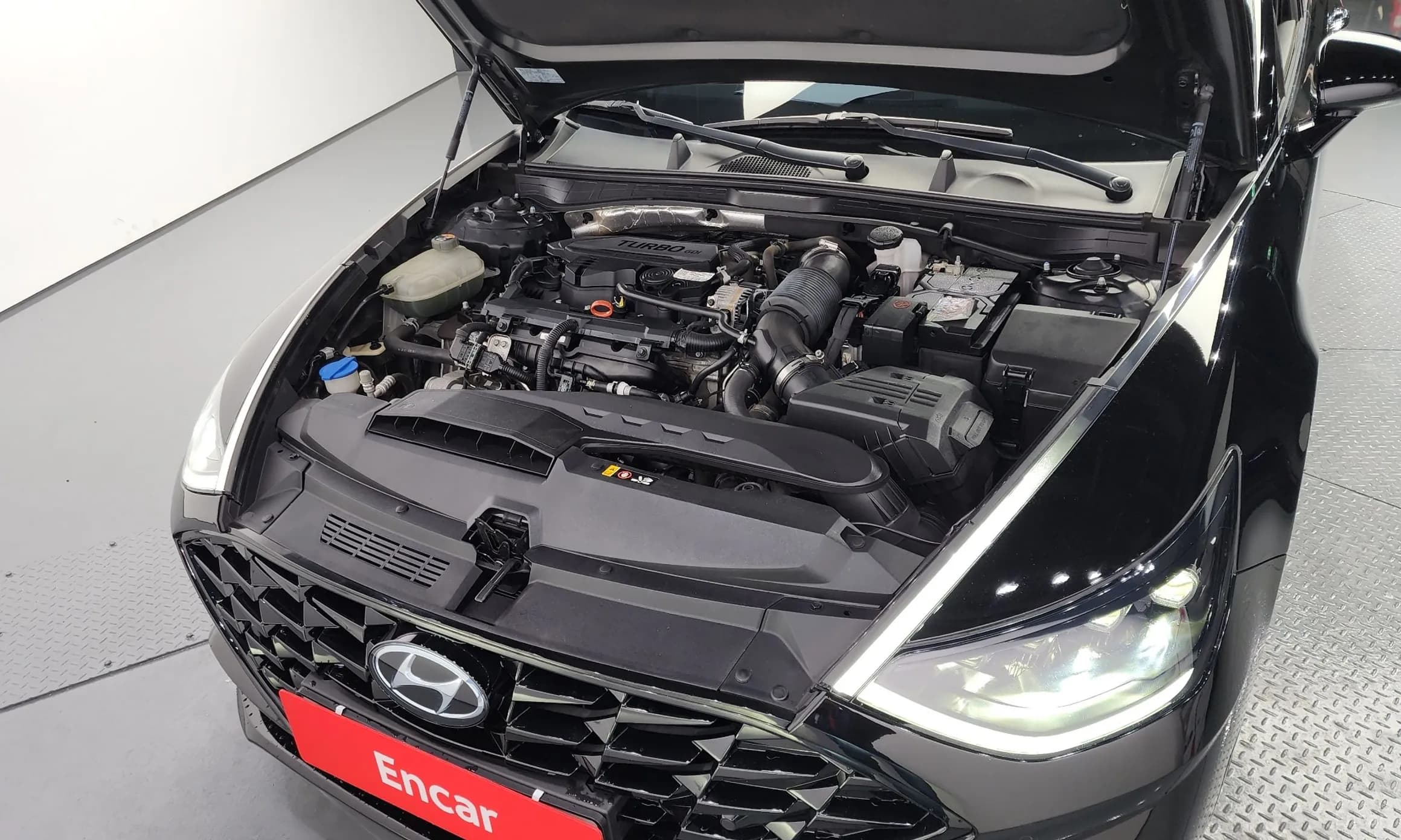 Sonata (DN8)