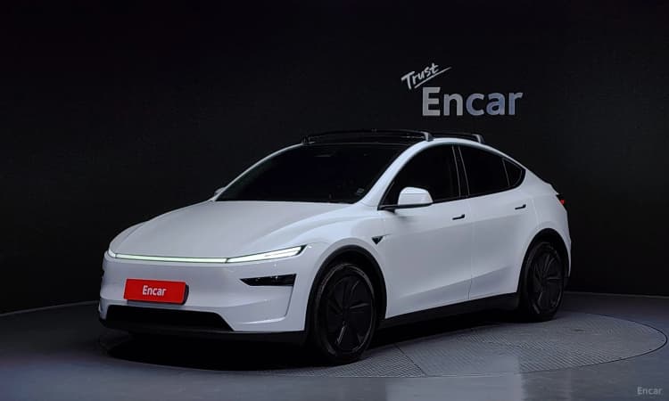 Model Y