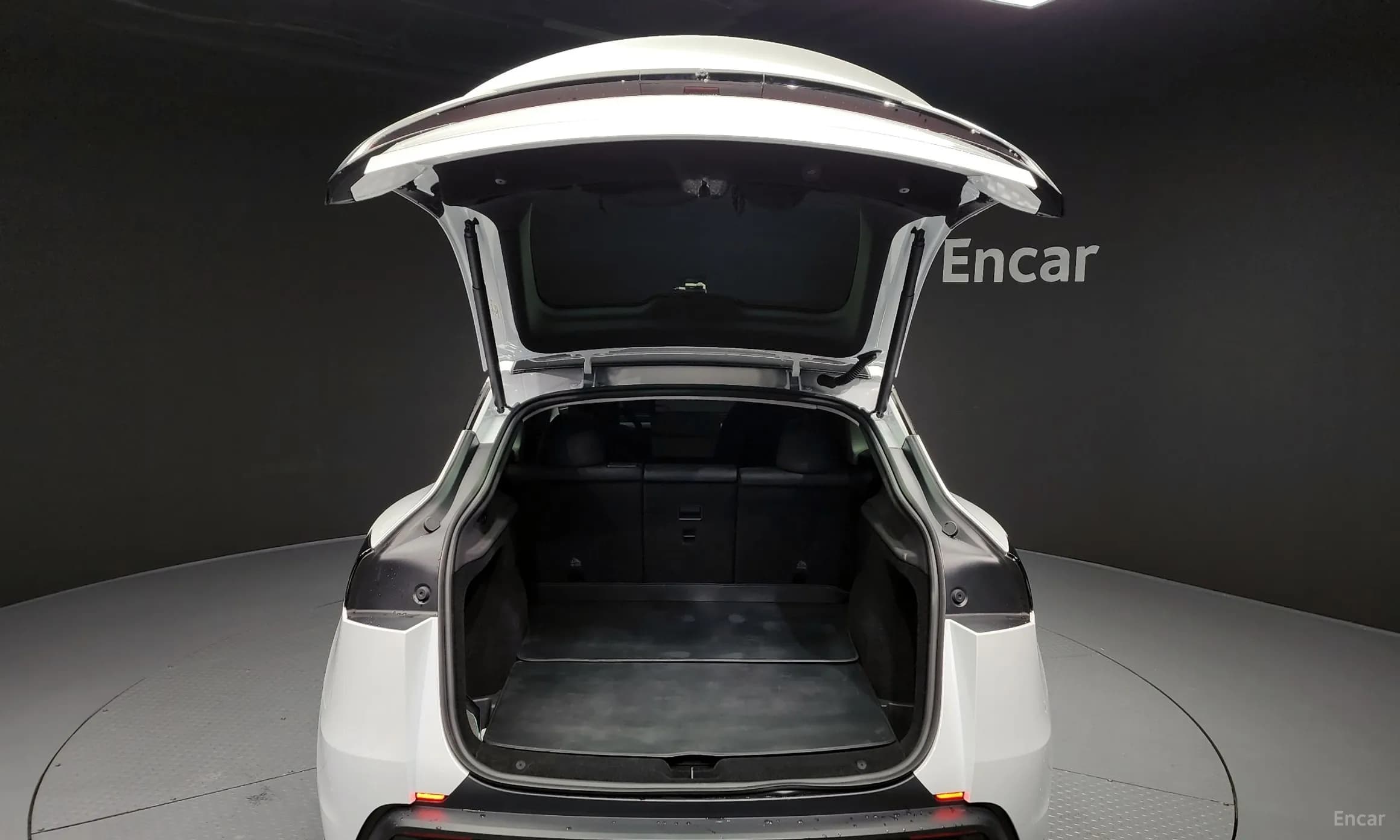 Model Y