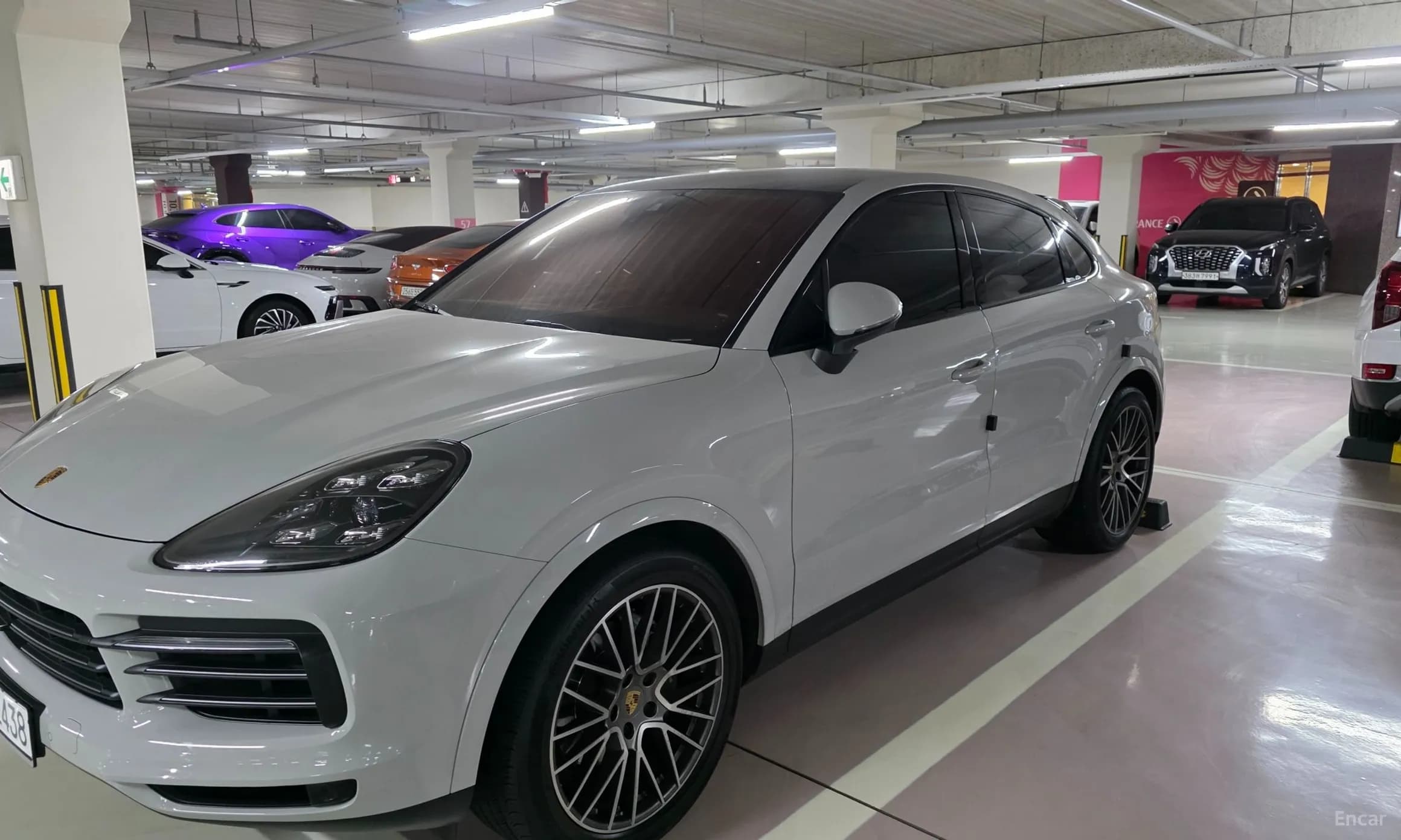 Cayenne (PO536)