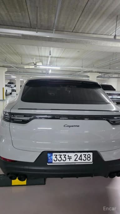 Cayenne (PO536)