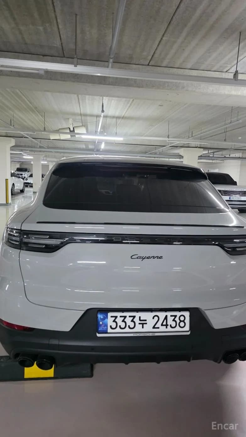 Cayenne (PO536)
