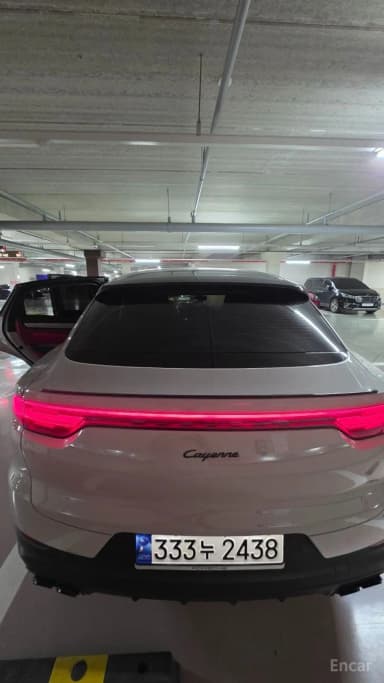 Cayenne (PO536)