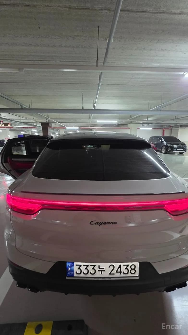 Cayenne (PO536)